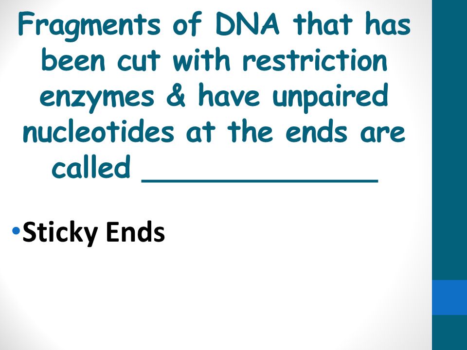 Fragments of DNA that has been cut with restriction enzymes & have unpaired nucleotides at the ends are called _____________