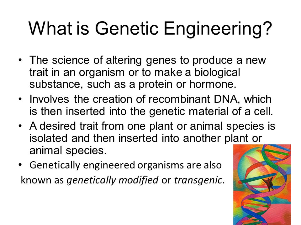 What is Genetic Engineering