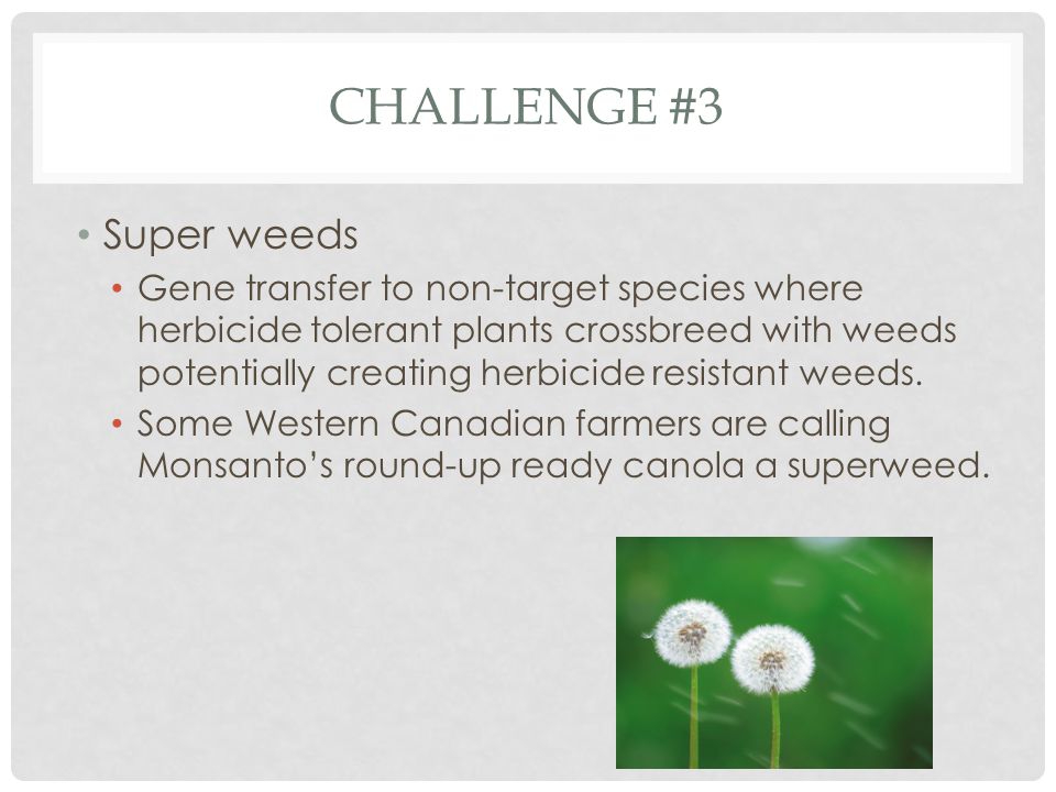 Challenge #3 Super weeds