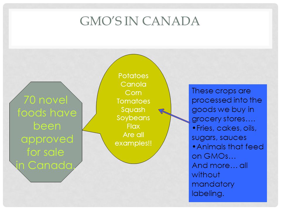 GMO’s in Canada 70 novel foods have been approved for sale in Canada.