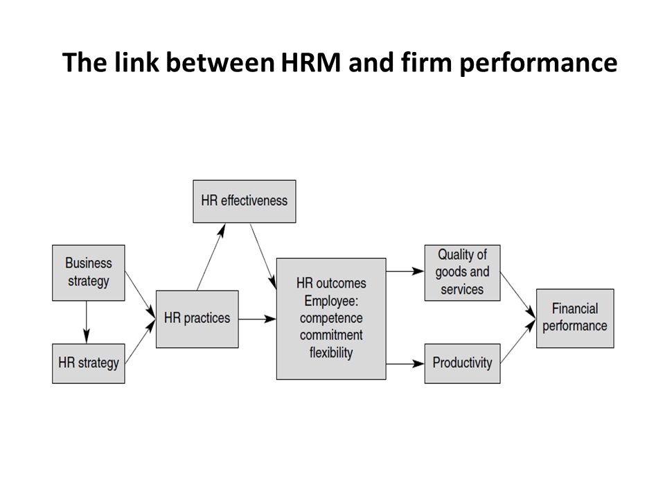 The link between HRM and firm performance