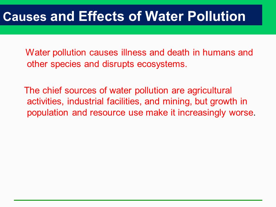 cause and effect of water pollution essay