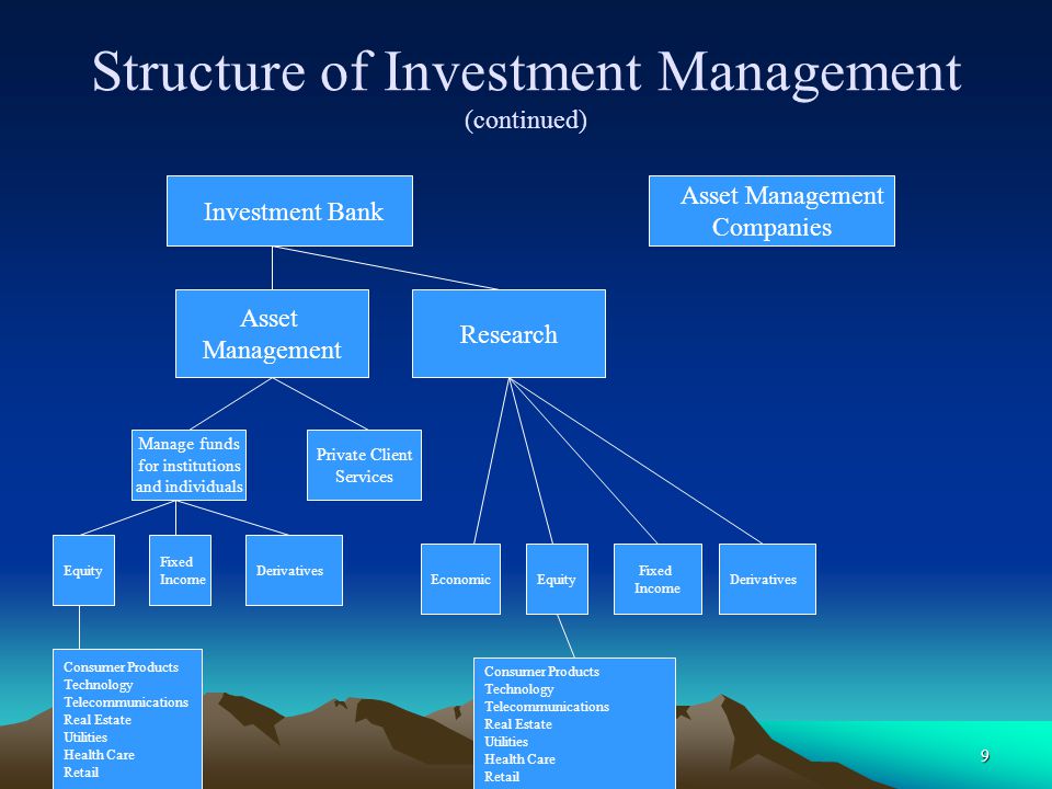 Structure of Investment Management (continued)