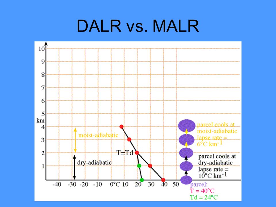DALR vs. MALR