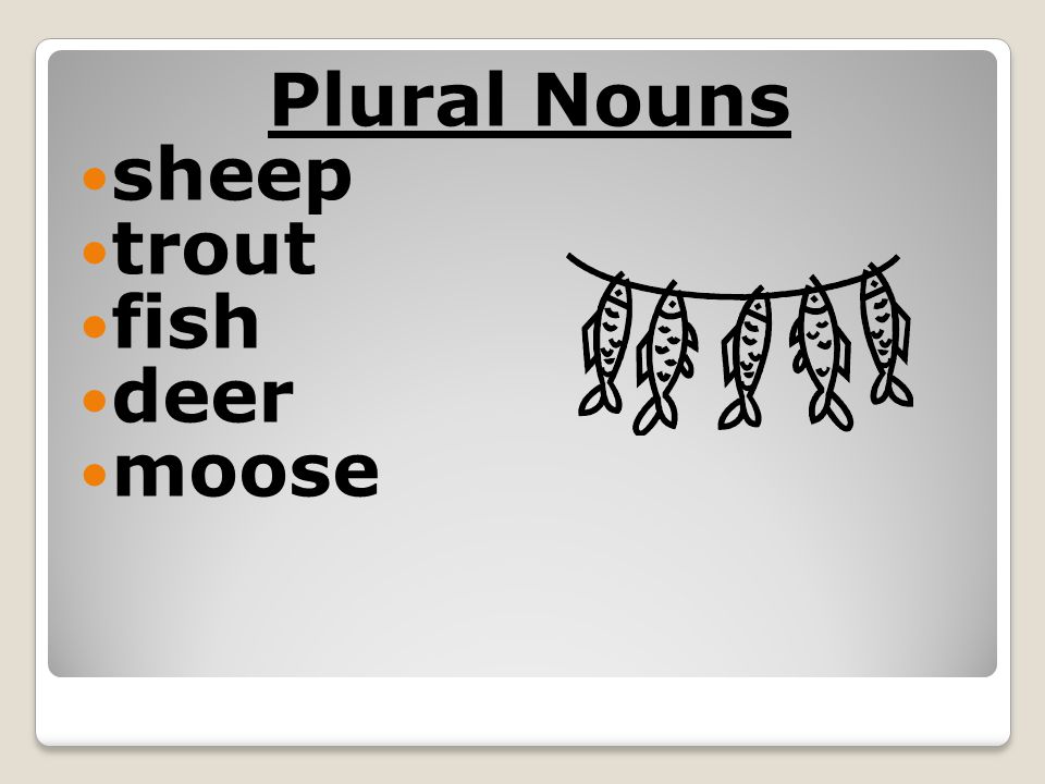 Plural Nouns sheep trout fish deer moose