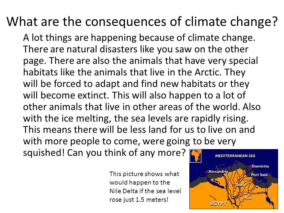 What are the consequences of climate change