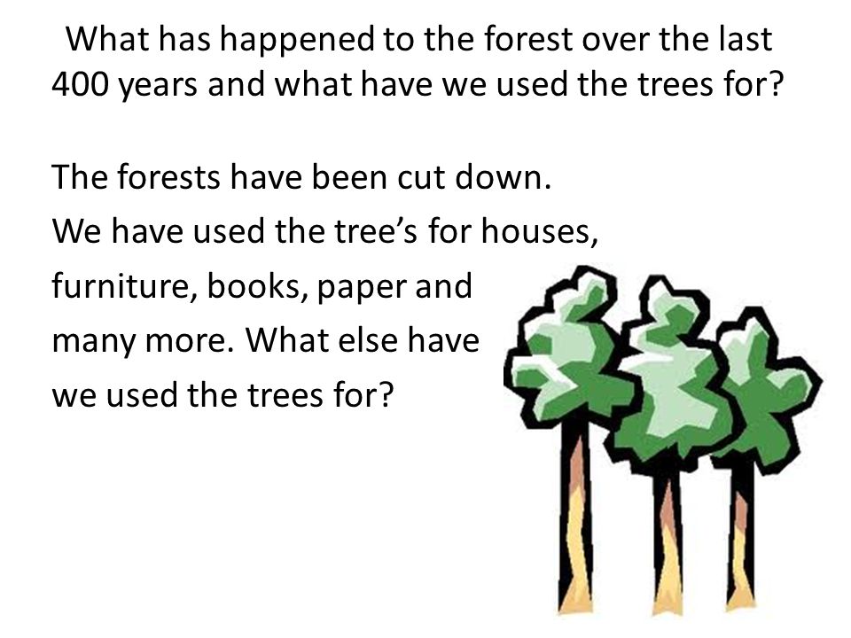 What has happened to the forest over the last 400 years and what have we used the trees for