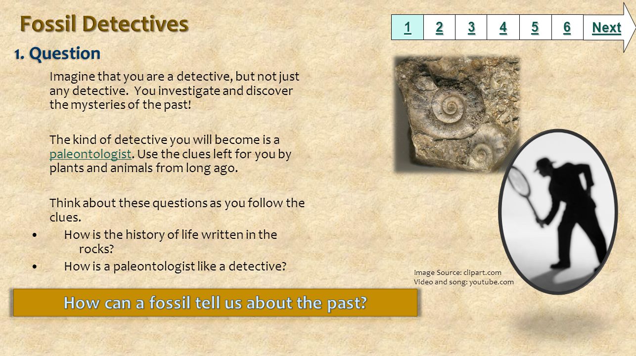 How can a fossil tell us about the past