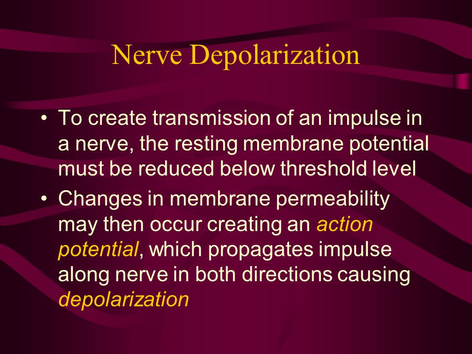 Nerve Depolarization To create transmission of an impulse in a nerve, the resting membrane potential must be reduced below threshold level.