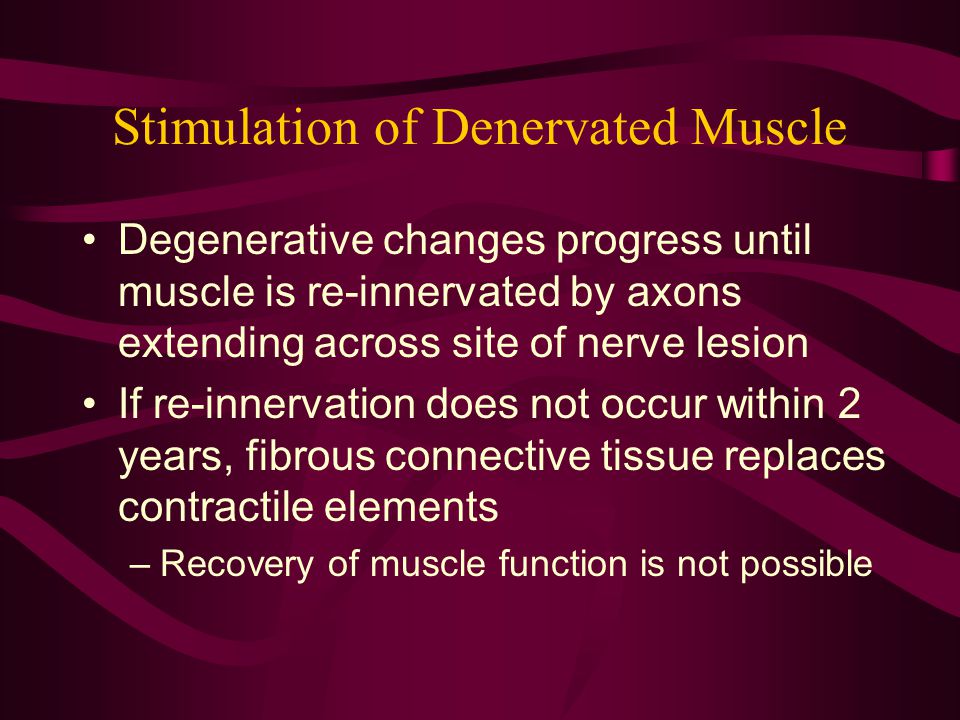 Stimulation of Denervated Muscle