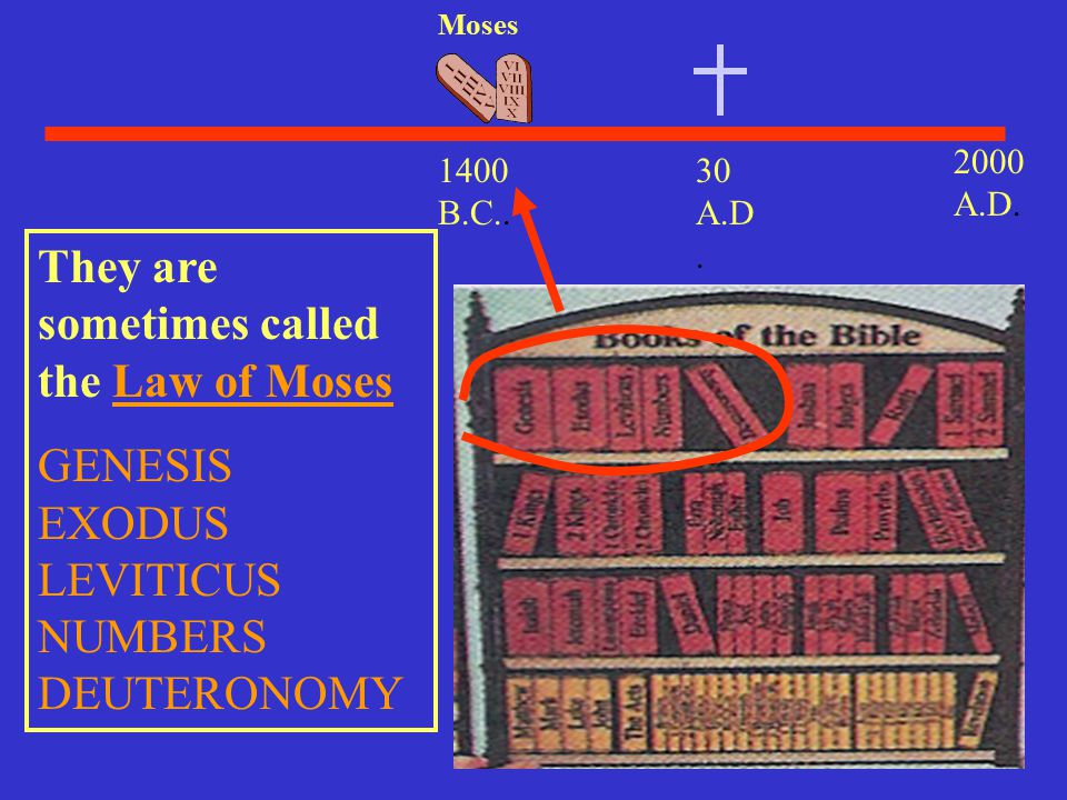 They are sometimes called the Law of Moses