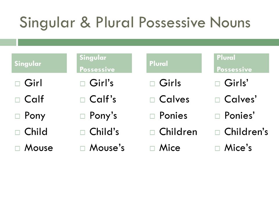 Singular & Plural Possessive Nouns