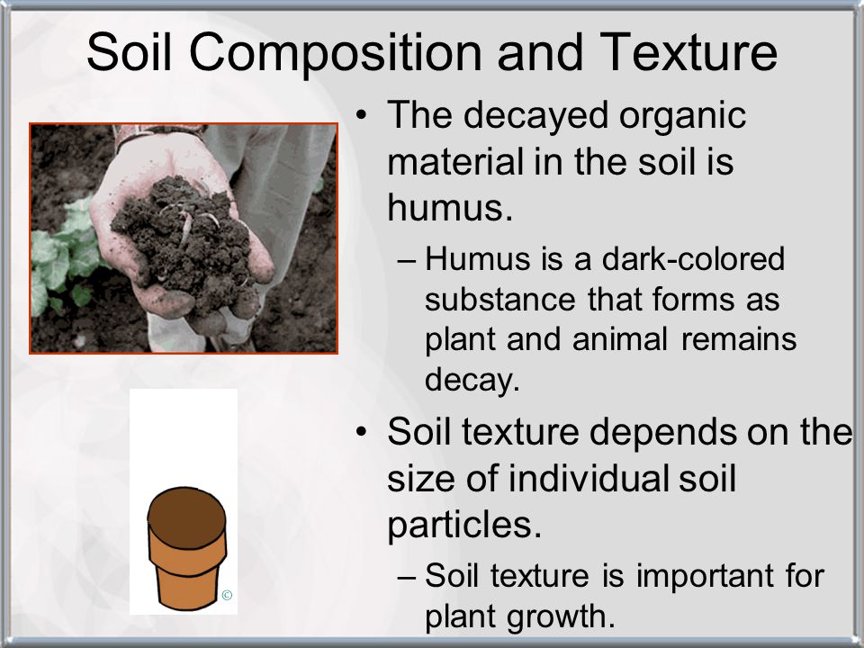 Soil Composition and Texture
