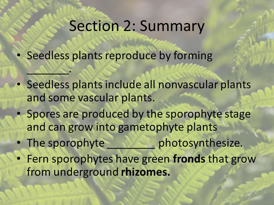 Section 2: Summary Seedless plants reproduce by forming _______.