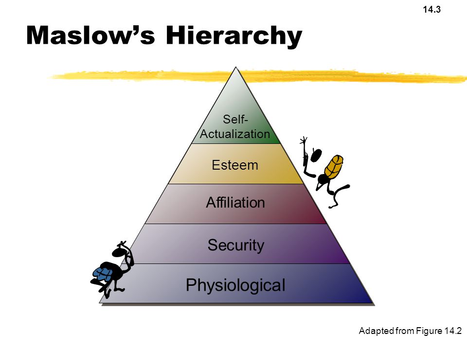 Maslow’s Hierarchy Physiological Security Affiliation Esteem Self-