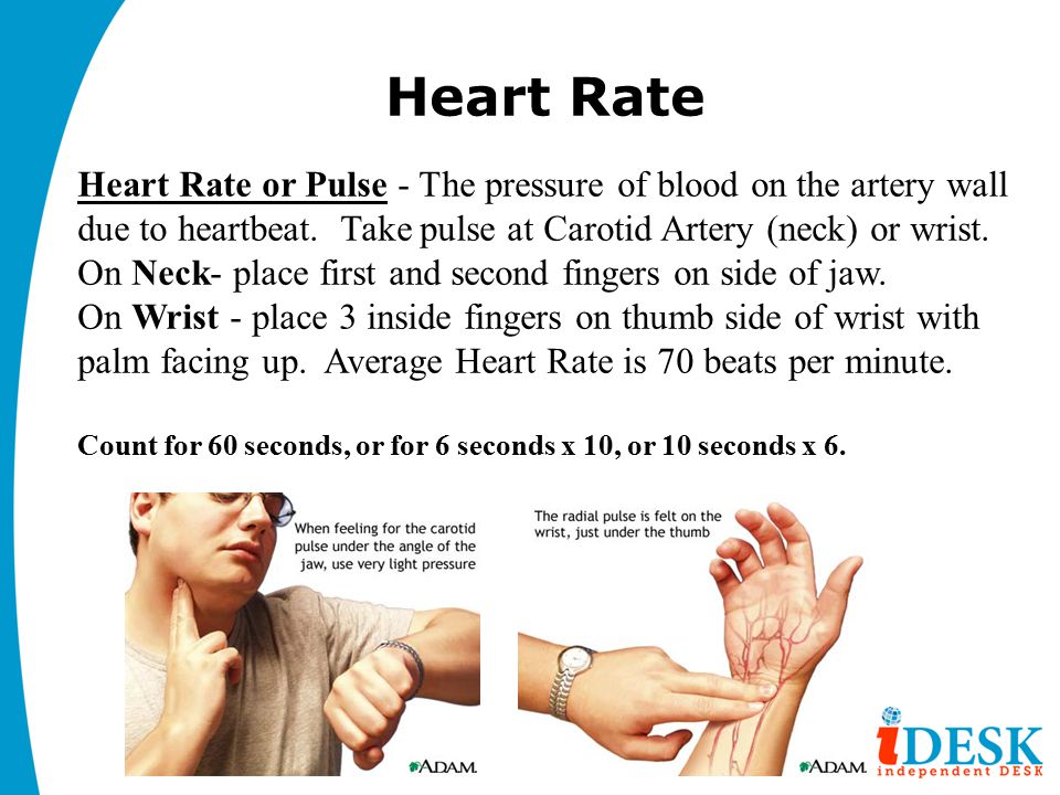 Cardiovascular Fitness Ppt Download