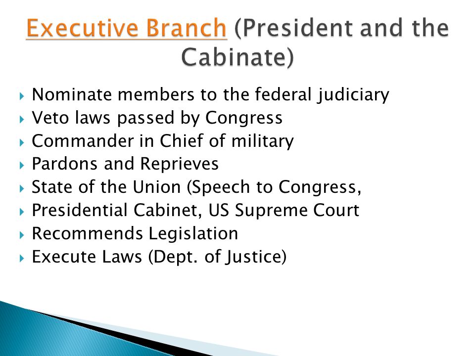Executive Branch (President and the Cabinate)