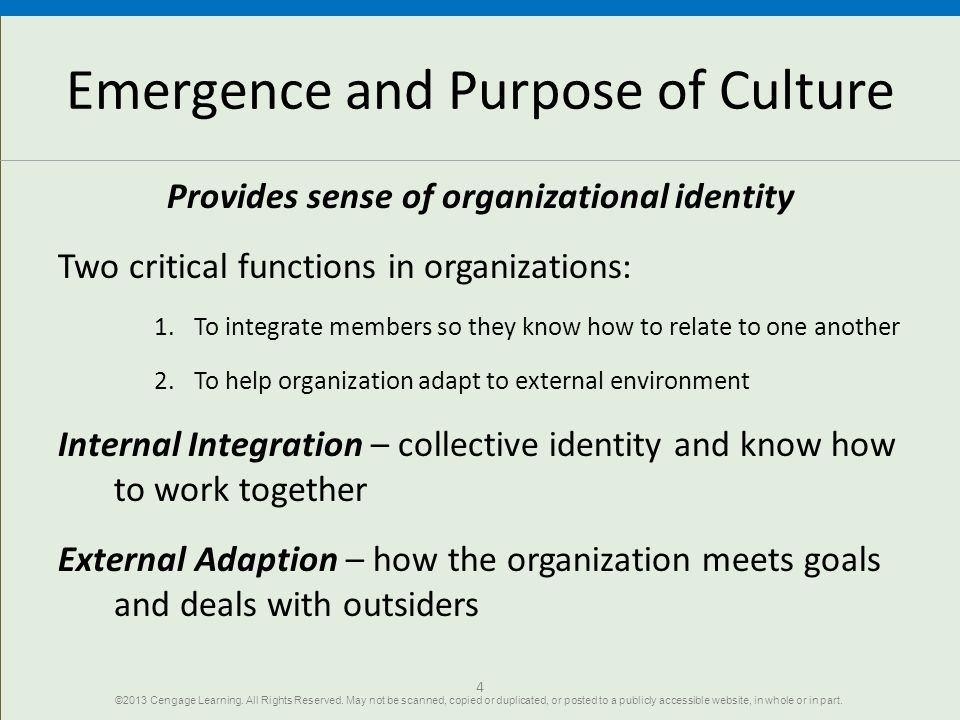 Emergence and Purpose of Culture