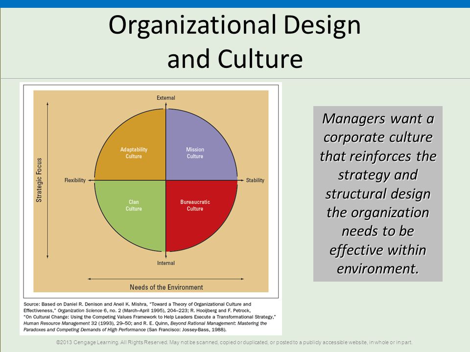 Organizational Design and Culture