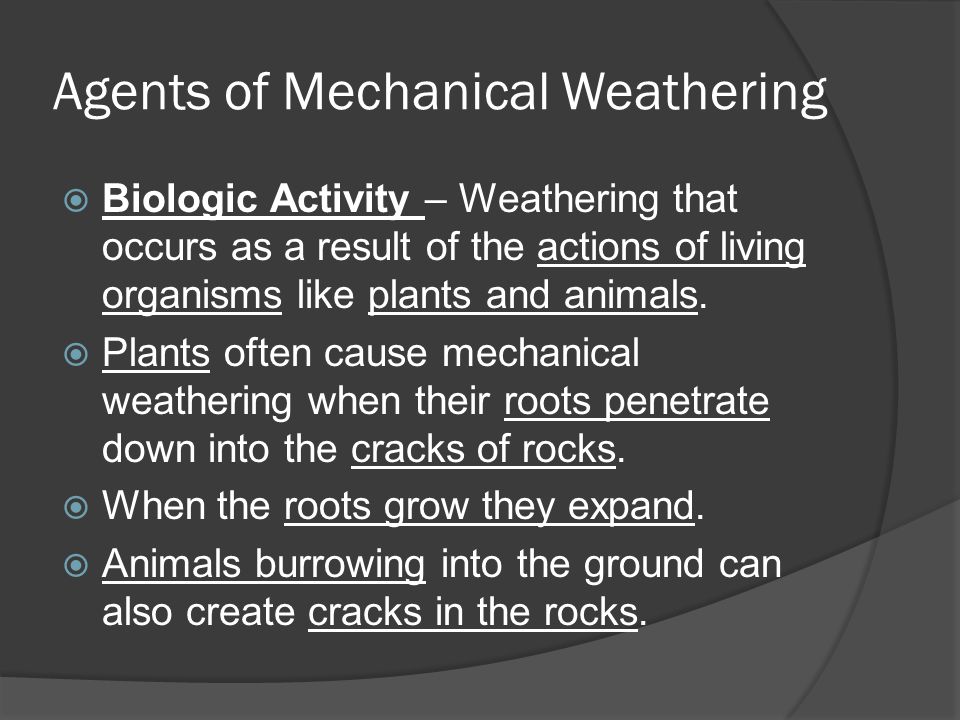 Section 5.1 weathering worksheet answers