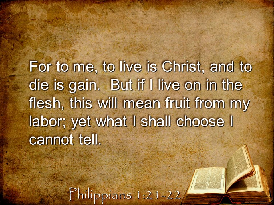 318 43 Pg 589 In Church Bibles Ppt Download