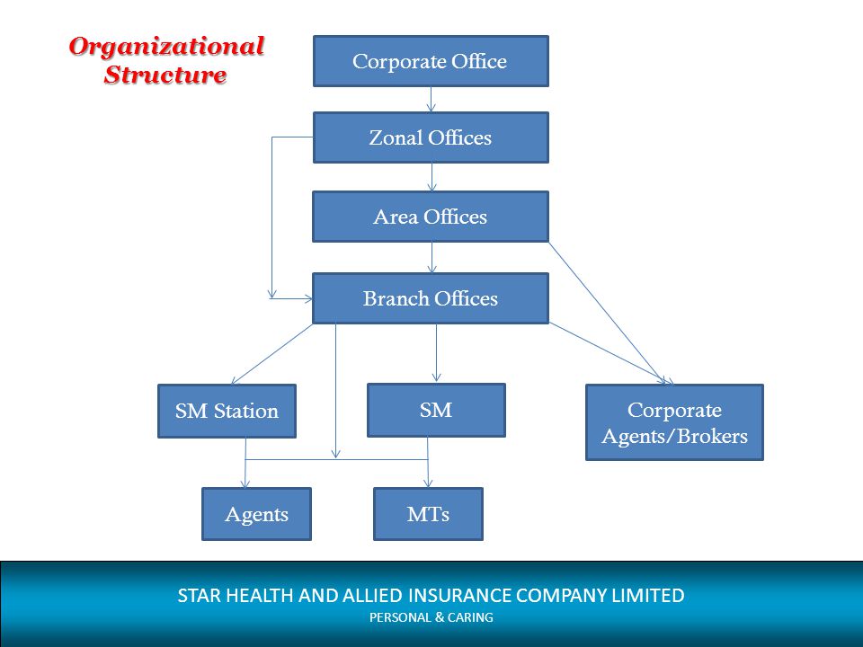 Organizational Chart For Health Insurance Company