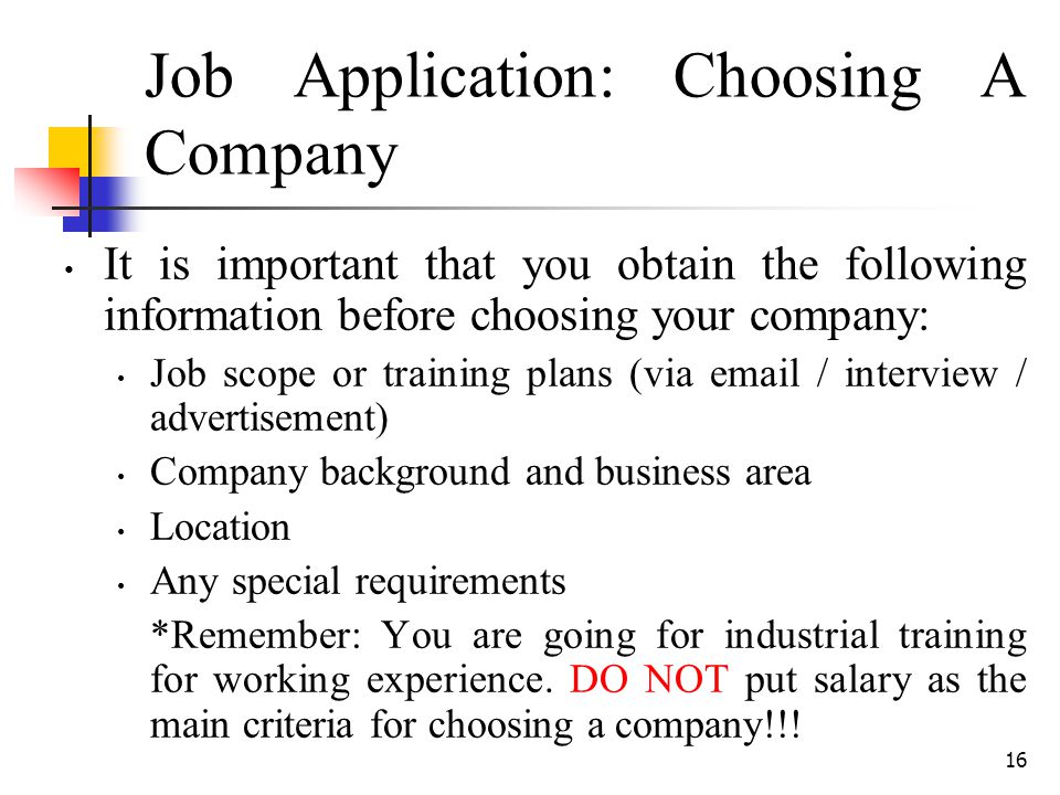 Job Application: Choosing A Company