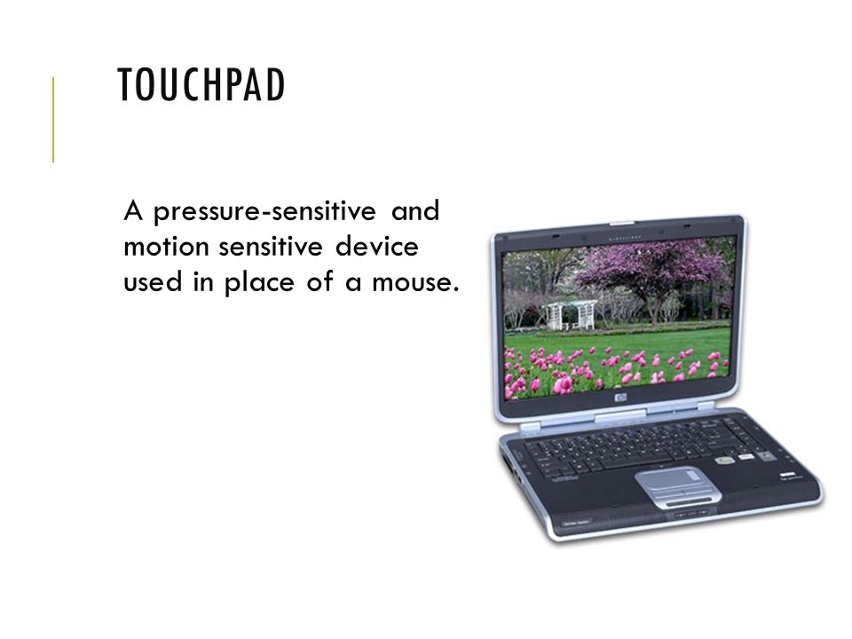 Touchpad A pressure-sensitive and motion sensitive device used in place of a mouse.