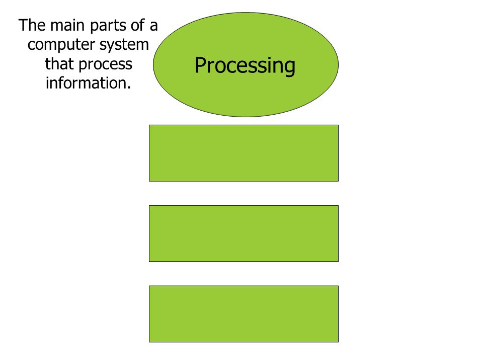 The main parts of a computer system that process information.