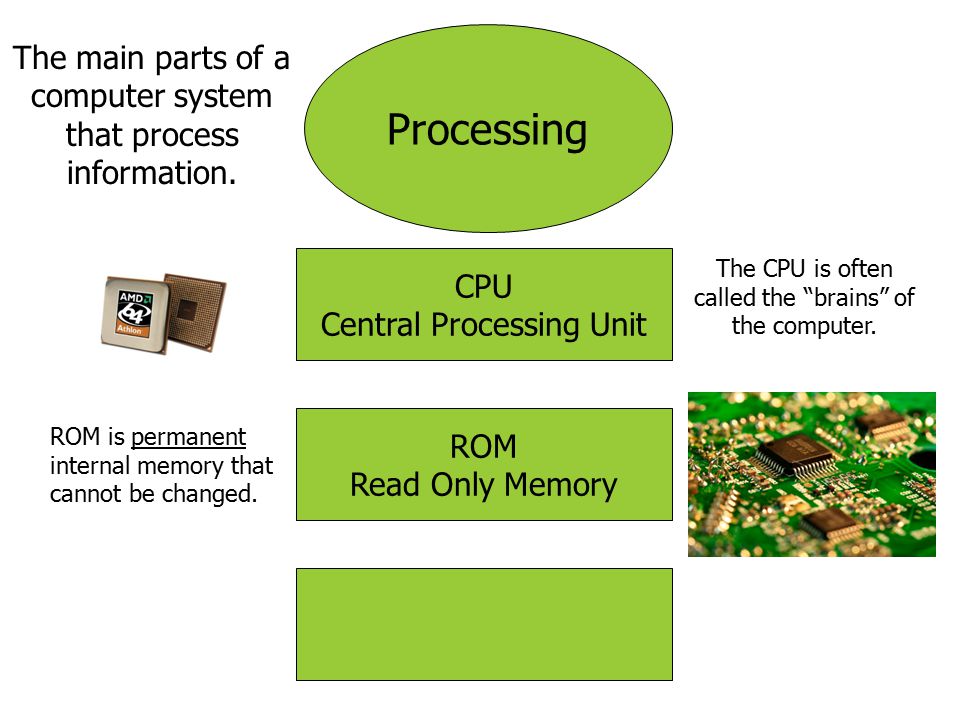 Processing The main parts of a computer system that process information. CPU. Central Processing Unit.