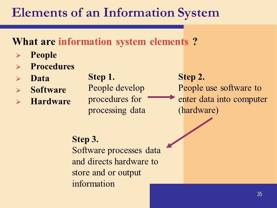 Elements of an Information System