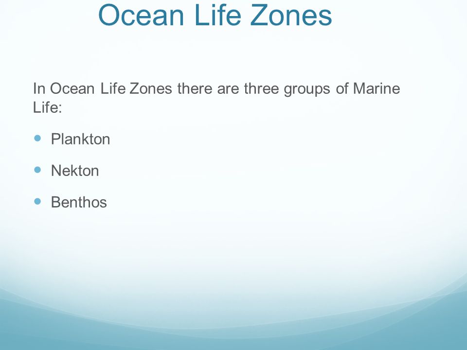 Ocean Life Zones In Ocean Life Zones there are three groups of Marine Life: Plankton.