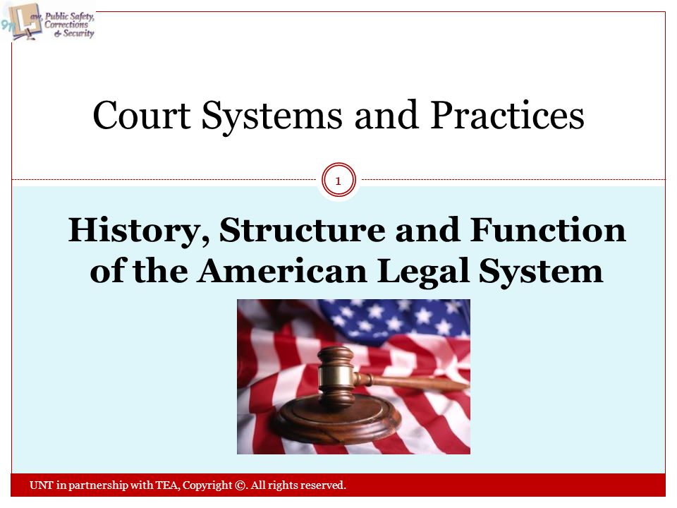 History, Structure and Function of the American Legal System