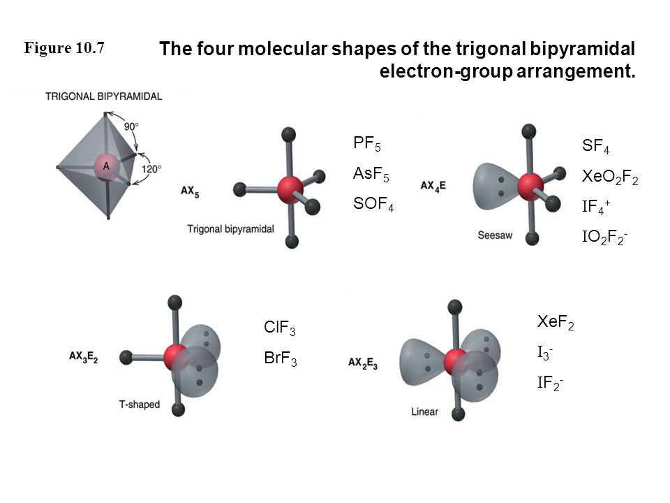 Figure 10.7 The four molecular shapes of the trigonal bipyramidal electron-...