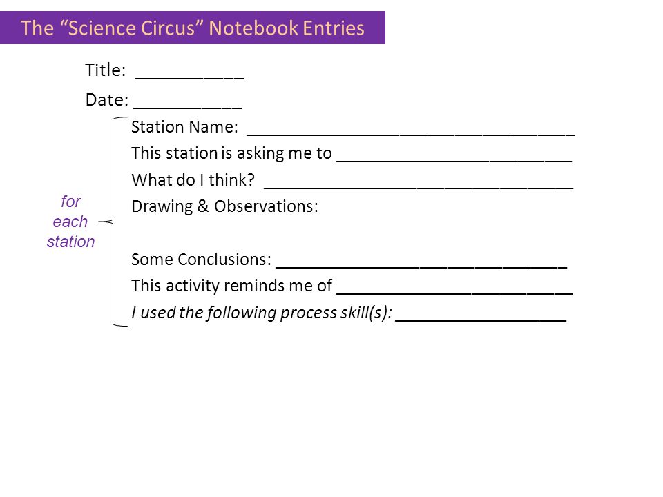 The Science Circus Notebook Entries