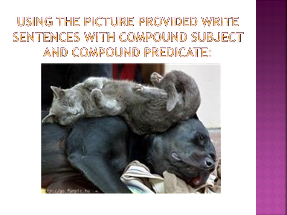 Using the picture provided write sentences with compound subject and compound predicate: