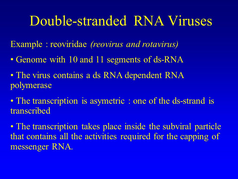 I Introduction To Viruses Ppt Download I Introduction To Viruses Ppt Download