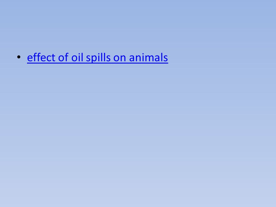 effect of oil spills on animals