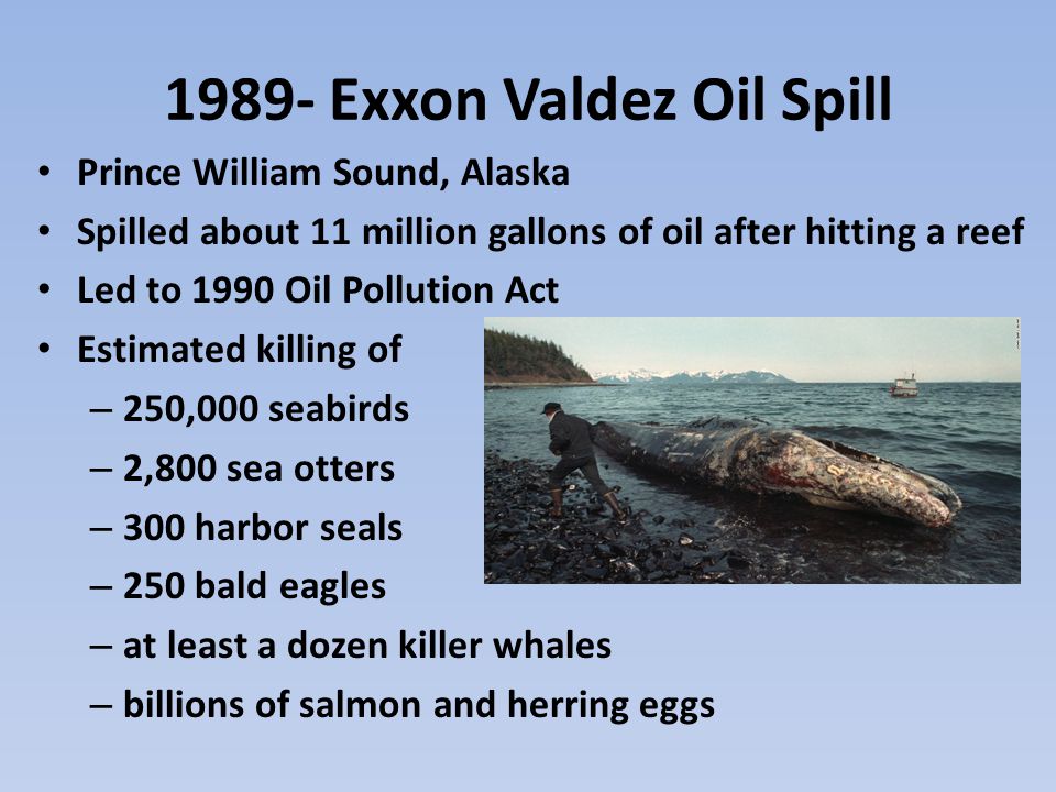 1989- Exxon Valdez Oil Spill