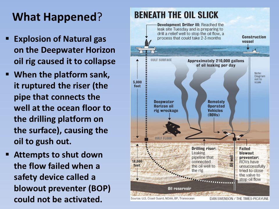 What Happened Explosion of Natural gas on the Deepwater Horizon oil rig caused it to collapse.