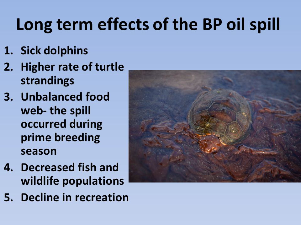 Long term effects of the BP oil spill