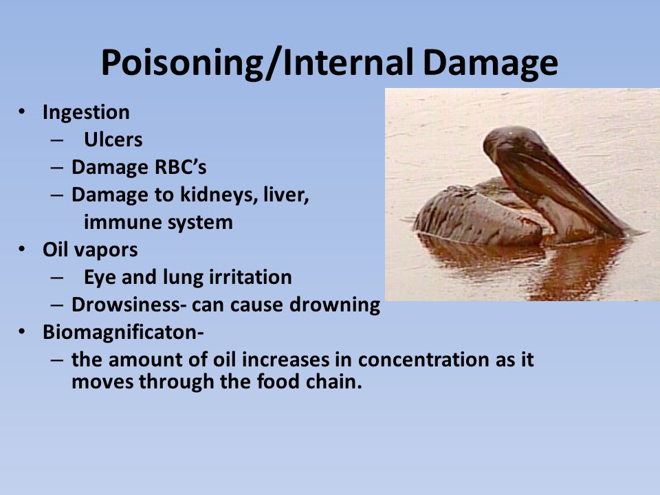 Poisoning/Internal Damage