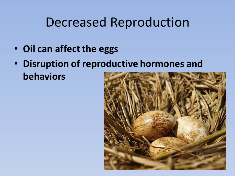Decreased Reproduction