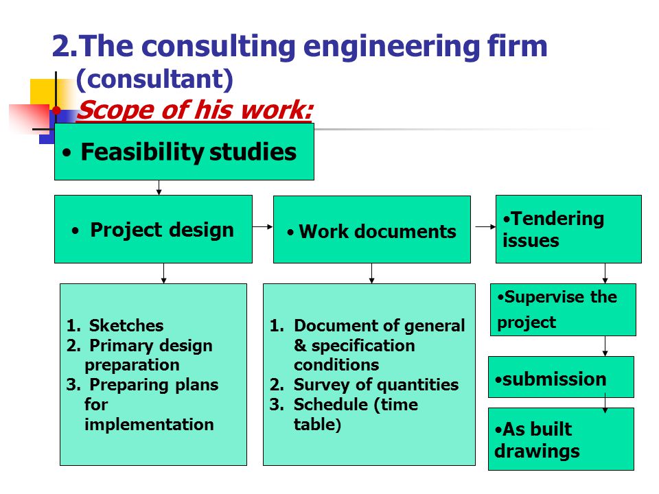 The consulting engineering firm (consultant)