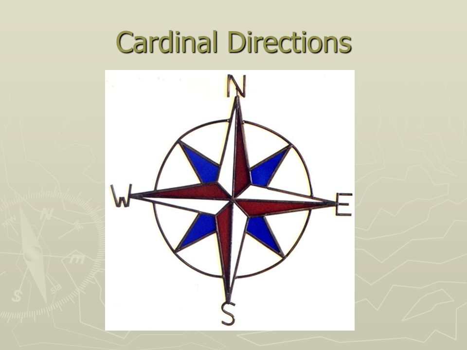 Cardinal Directions