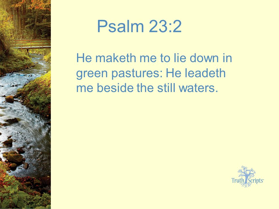 Psalm 23:2 He maketh me to lie down in green pastures: He leadeth me beside the still waters.