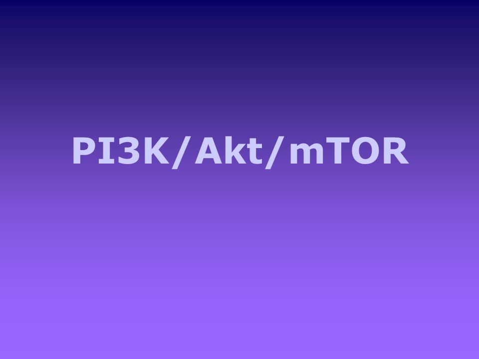 PI3K/Akt/mTOR