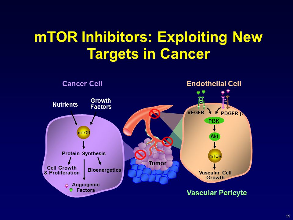 mTOR Inhibitors: Exploiting New Targets in Cancer