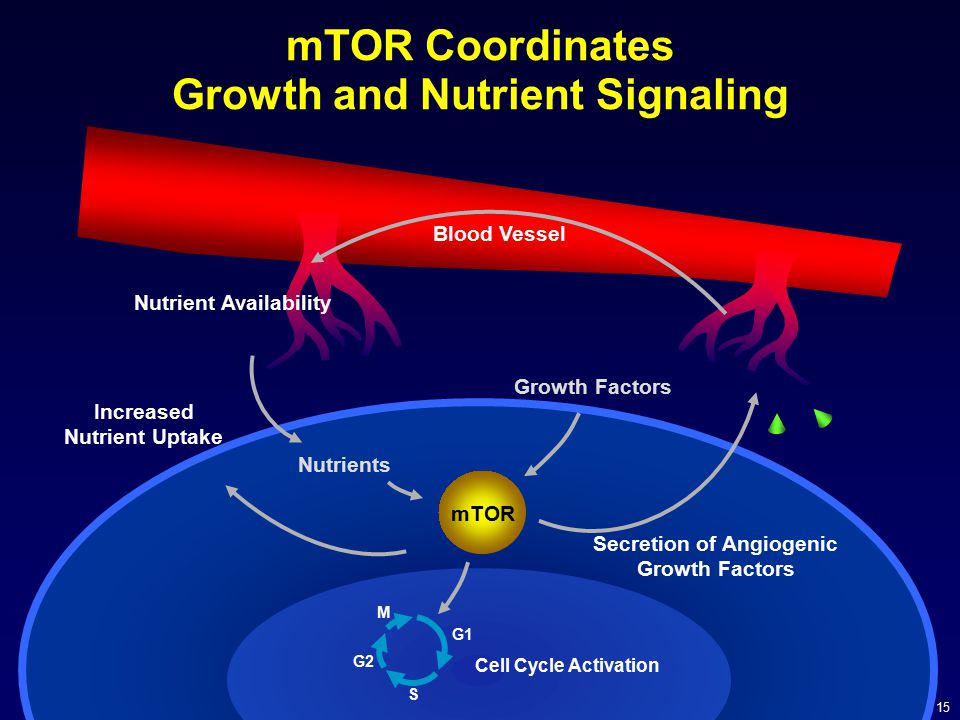 mTOR Coordinates Growth and Nutrient Signaling