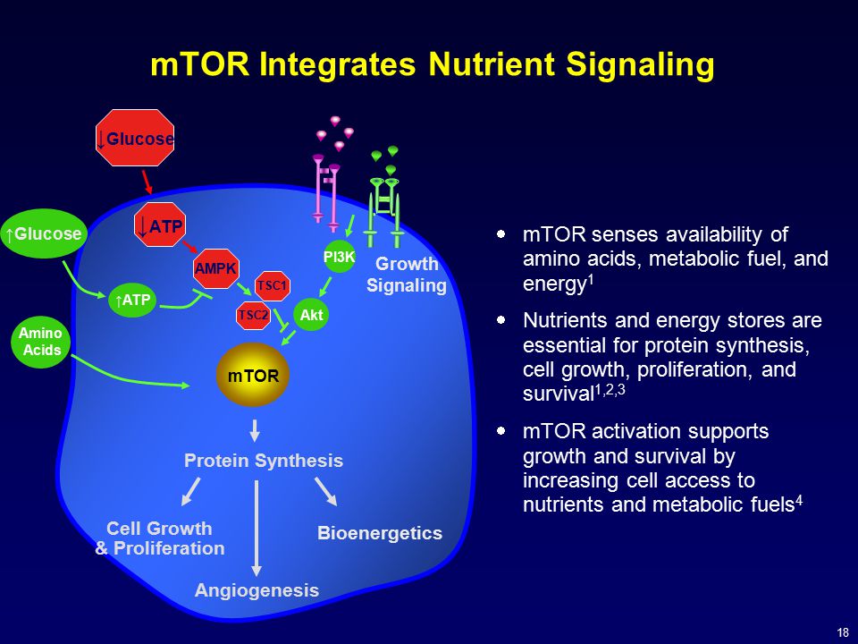 mTOR Integrates Nutrient Signaling